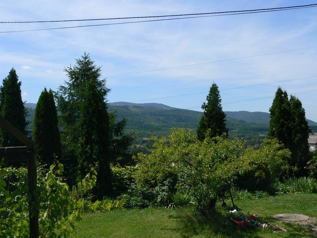 Noclegi W Ksiegarni Bielsko-Biala Exterior foto